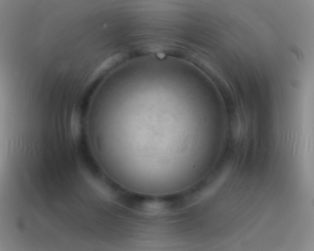 X0000115580216200911101155