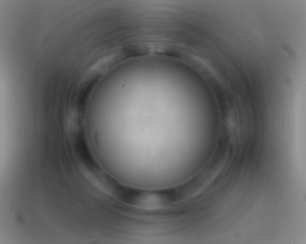 X0000115580218200911101155