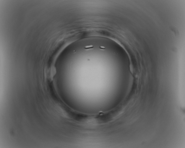 X0000115580219200911101155