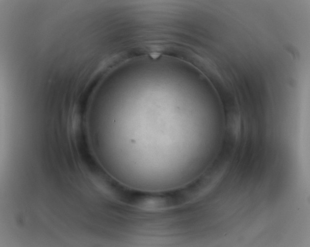 X0000115580220200911101155