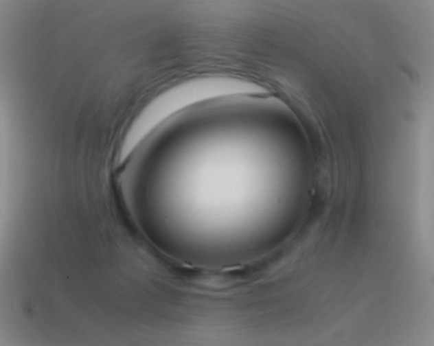 X0000115580221200911101155