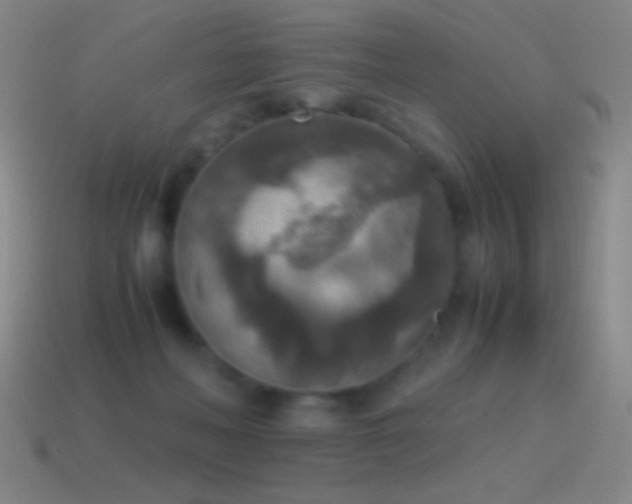 X0000115580222200911101155