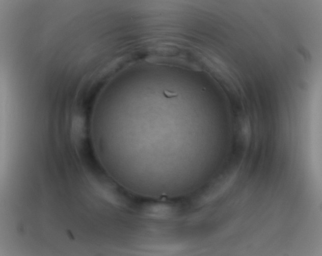 X0000115580224200911101155