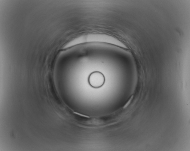 X0000115580225200911101155