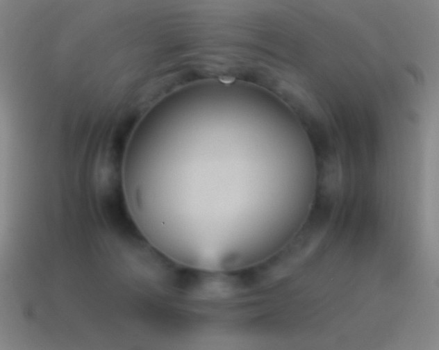 X0000115580226200911101155