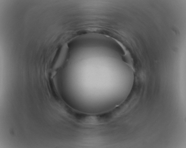 X0000115580227200911101155