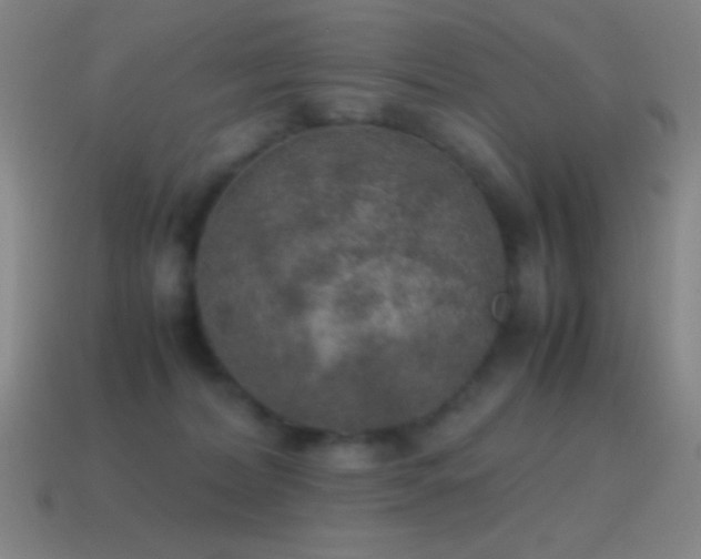 X0000115580228200911101155