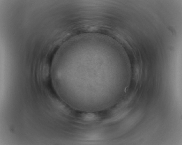 X0000115580230200911101155