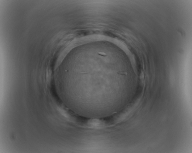 X0000115580231200911101155