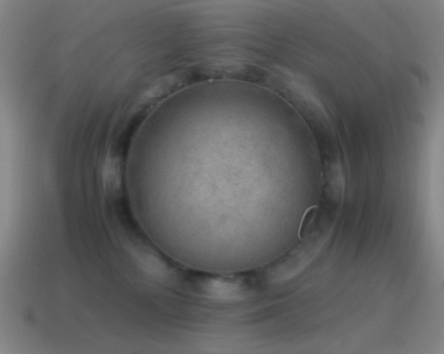 X0000115580232200911101155