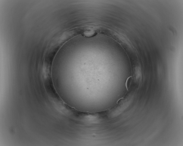 X0000115580236200911101155