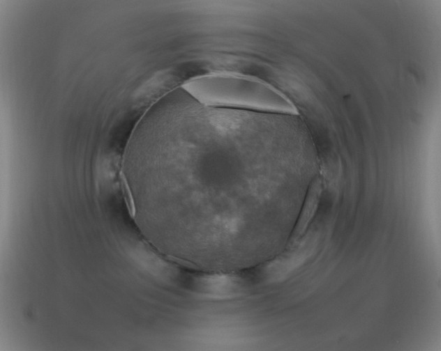 X0000115580237200911101155