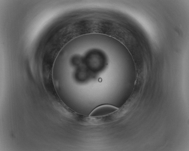 X0000115580239200911101155