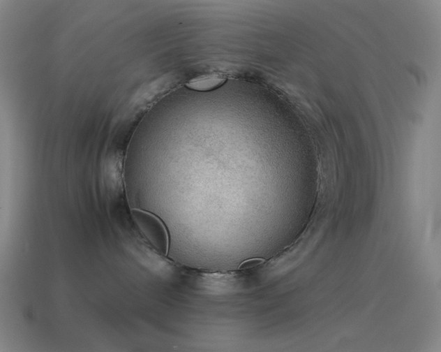 X0000115580240200911101155