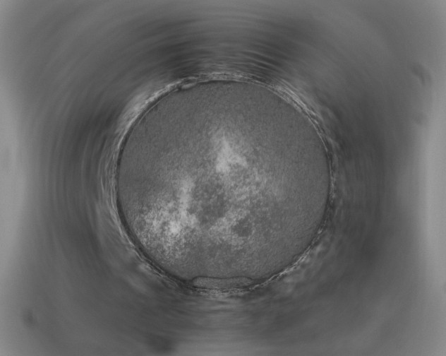 X0000115580241200911101154