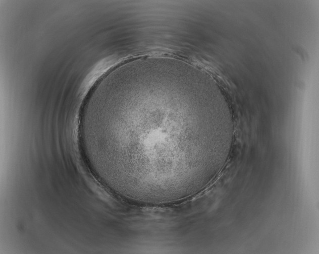 X0000115580242200911101154