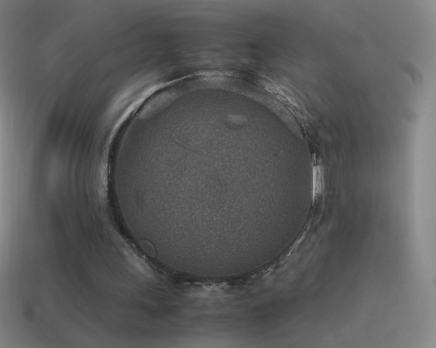 X0000115580243200911101154