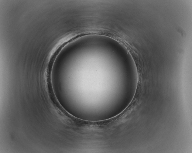 X0000115580244200911101154