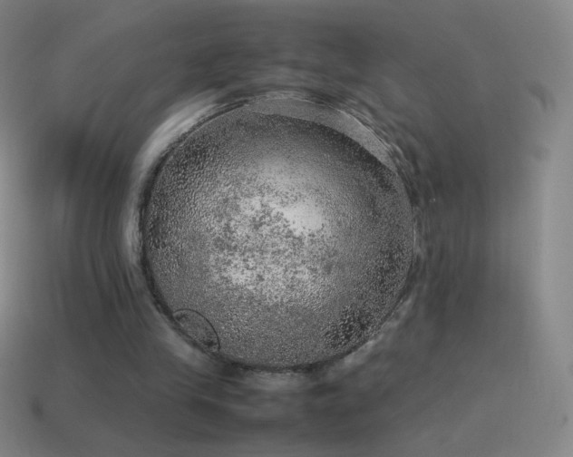 X0000115580245200911101154