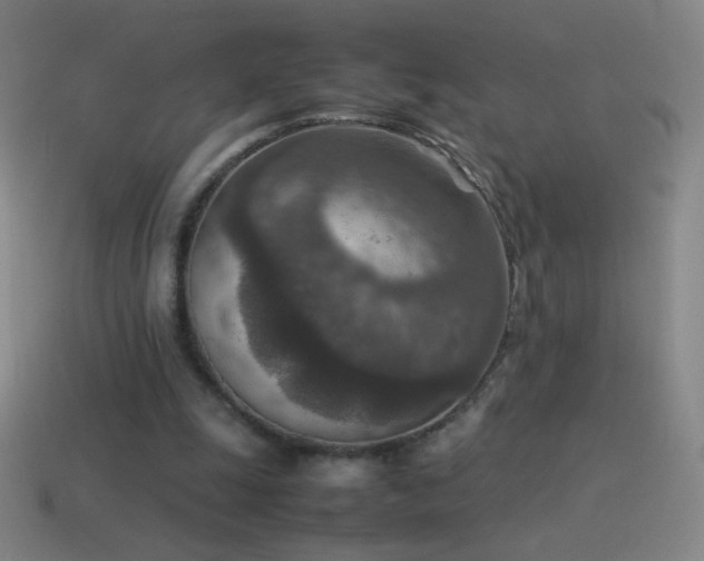 X0000115580247200911101154