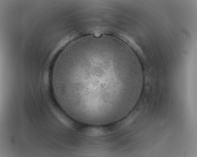 X0000115580250200911101154