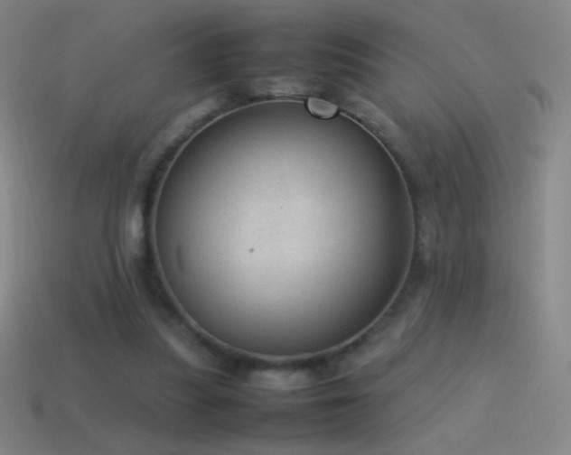 X0000115580251200911101154