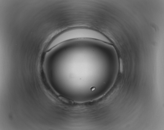 X0000115580252200911101154