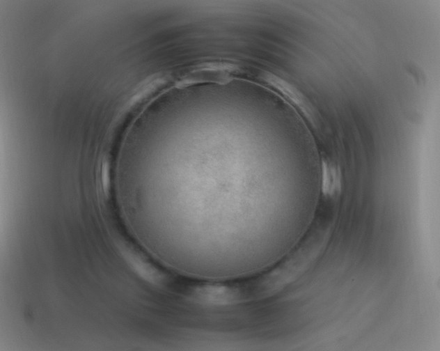 X0000115580253200911101154