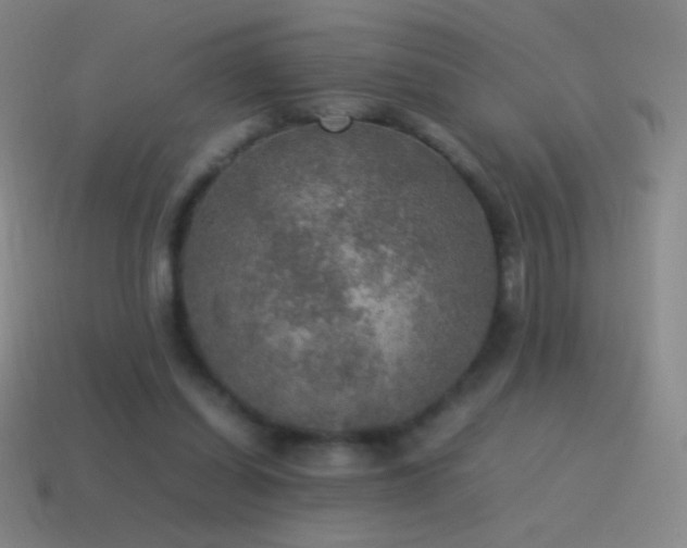 X0000115580254200911101154