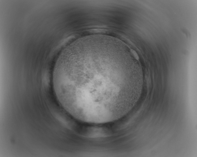 X0000115580255200911101154