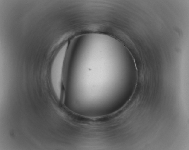 X0000115580256200911101154