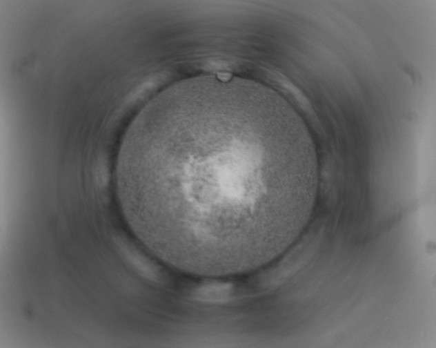 X0000115580257200911101154