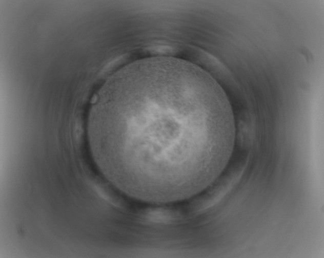 X0000115580259200911101154