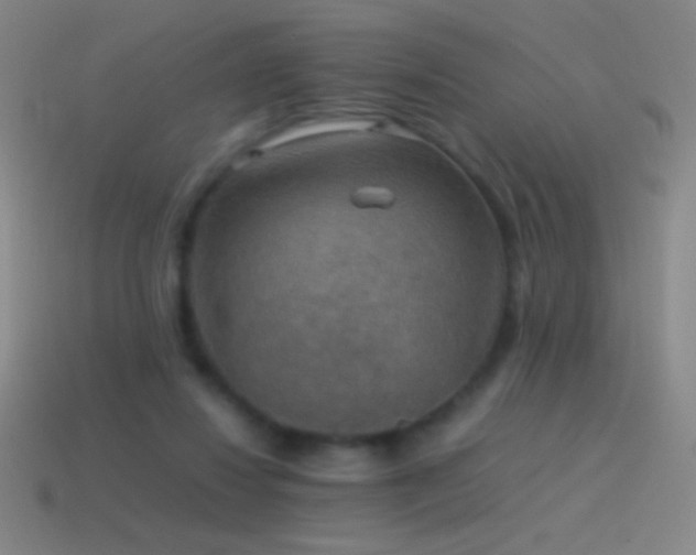 X0000115580260200911101154