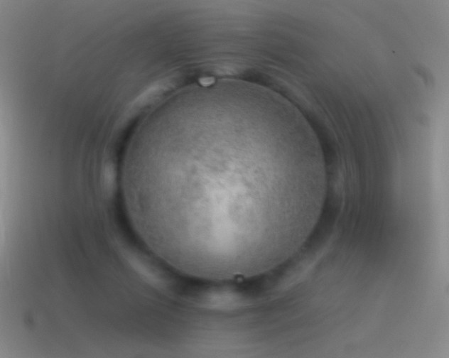 X0000115580262200911101155