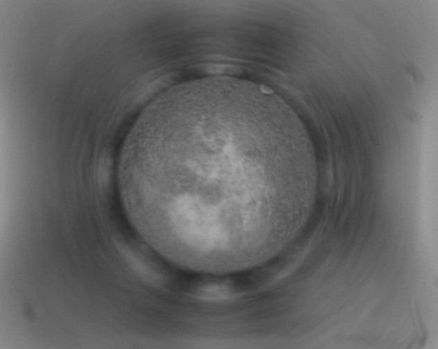 X0000115580263200911101155