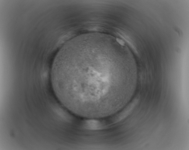 X0000115580265200911101155