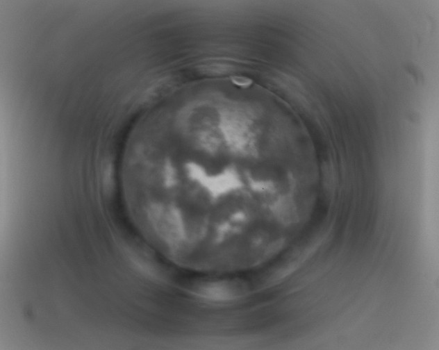 X0000115580267200911101155