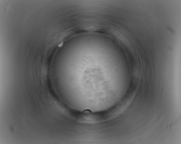 X0000115580268200911101155