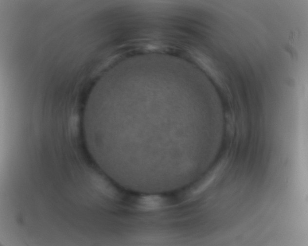 X0000115580269200911101155