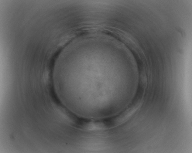 X0000115580270200911101155