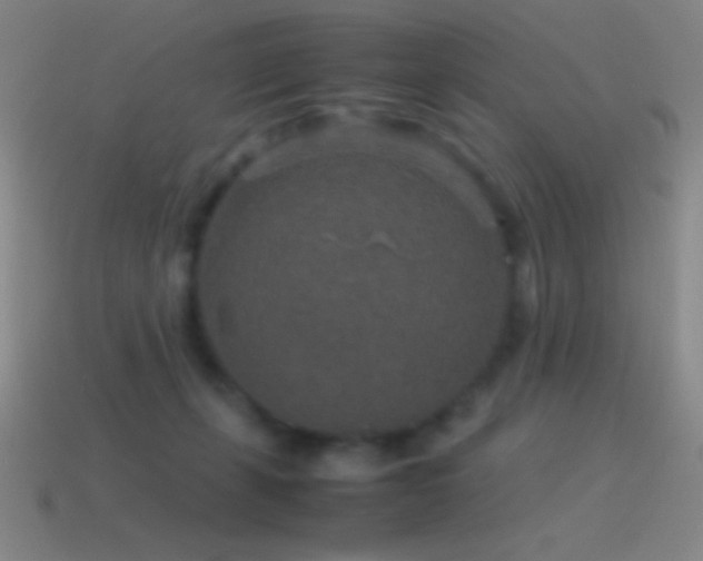 X0000115580271200911101155