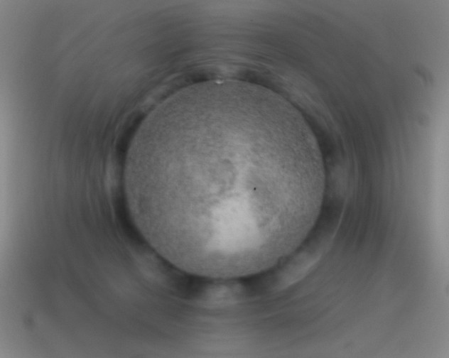 X0000115580274200911101155