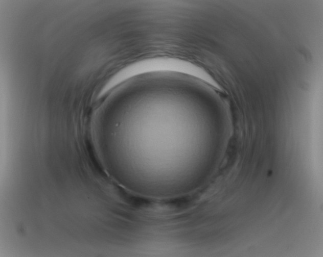 X0000115580276200911101155