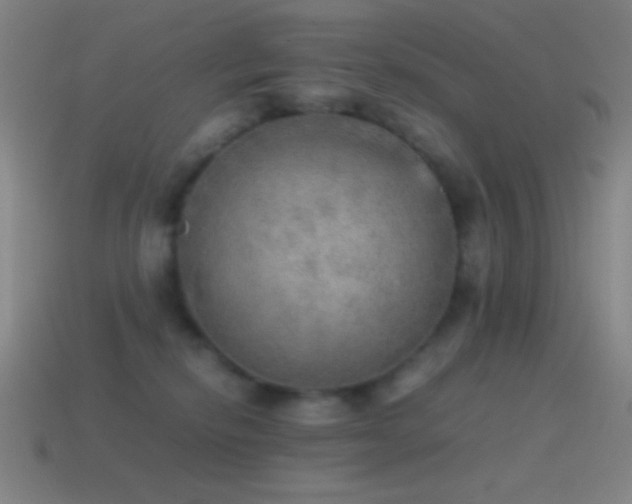 X0000115580278200911101155