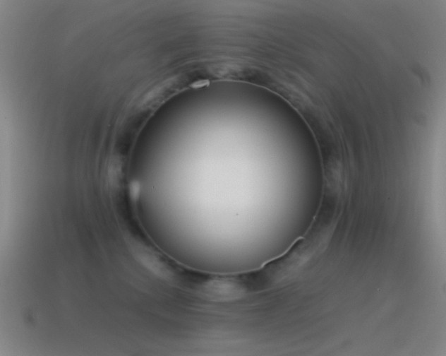 X0000115580280200911101155