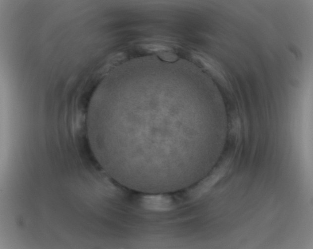 X0000115580281200911101155