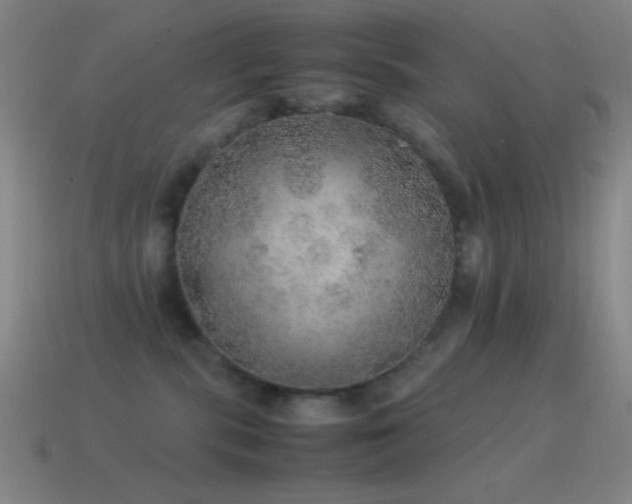 X0000115580283200911101155