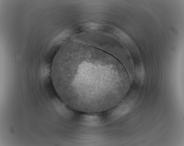 X0000115580284200911101155