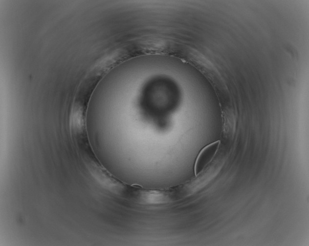 X0000115580287200911101155